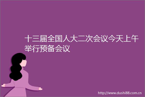 十三届全国人大二次会议今天上午举行预备会议