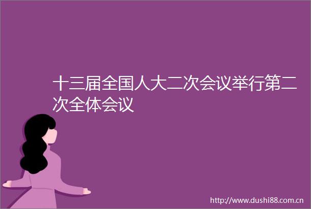 十三届全国人大二次会议举行第二次全体会议