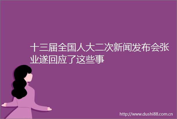 十三届全国人大二次新闻发布会张业遂回应了这些事