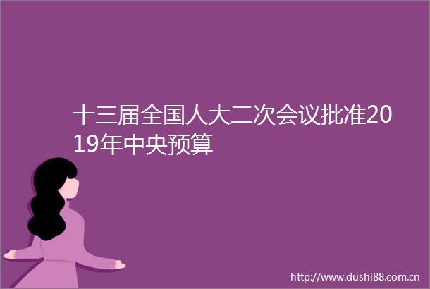 十三届全国人大二次会议批准2019年中央预算