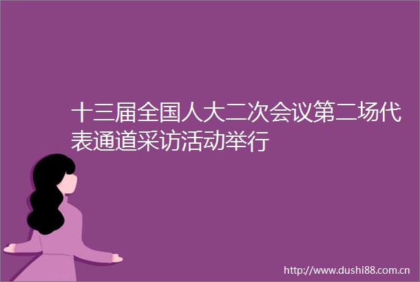 十三届全国人大二次会议第二场代表通道采访活动举行