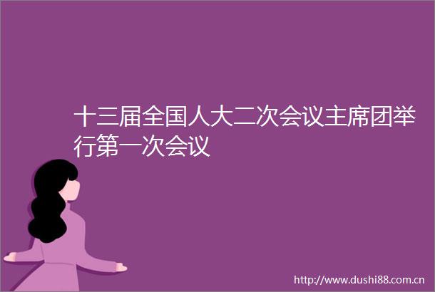 十三届全国人大二次会议团举行第一次会议