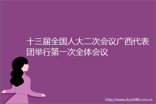 十三届全国人大二次会议广西代表团举行第一次全体会议