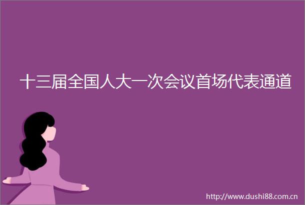 十三届全国人大一次会议首场代表通道