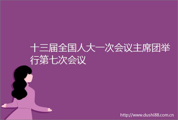十三届全国人大一次会议团举行第七次会议
