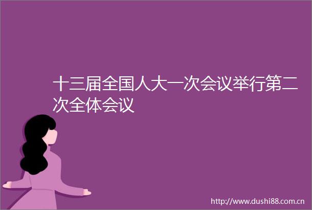 十三届全国人大一次会议举行第二次全体会议