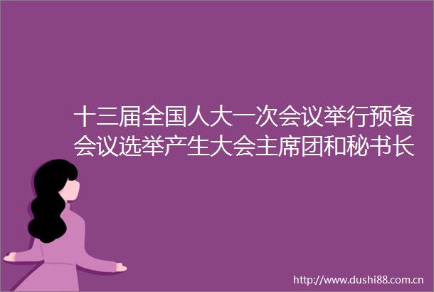 十三届全国人大一次会议举行预备会议选举产生大会团和秘书长张德江主持会议