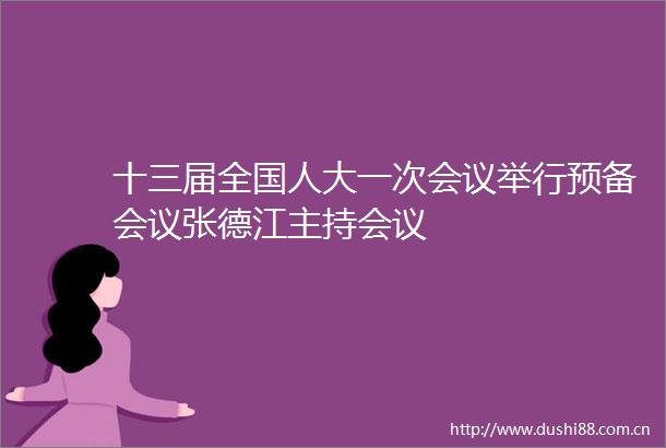 十三届全国人大一次会议举行预备会议张德江主持会议