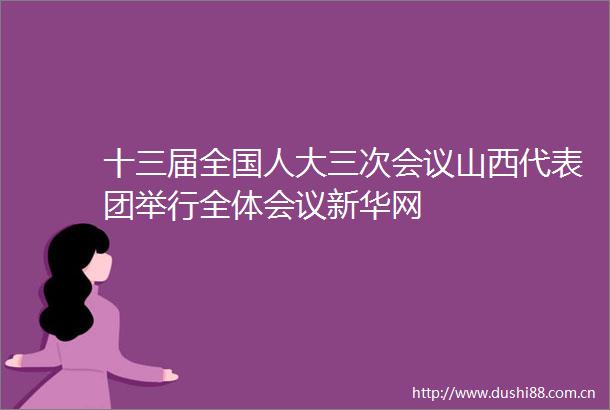 十三届全国人大三次会议山西代表团举行全体会议新华网