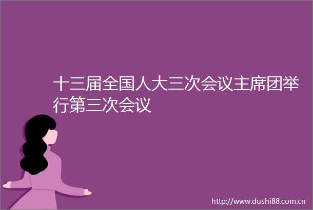 十三届全国人大三次会议团举行第三次会议