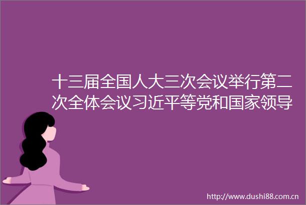 十三届全国人大三次会议举行第二次全体会议等党和人出席会议