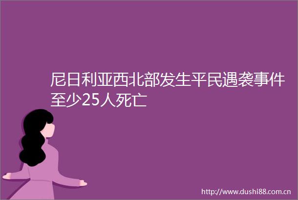 尼日利亚西北部发生平民遇袭至少25人死亡