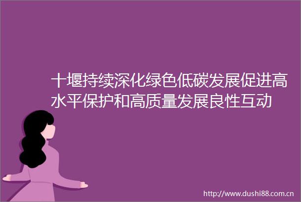 十堰持续深化绿色低碳发展促进高水平保护和高质量发展良性互动
