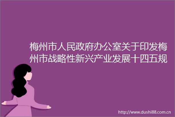 梅州市办公室关于印发梅州市战略性新兴产业发展十四五规划的通知