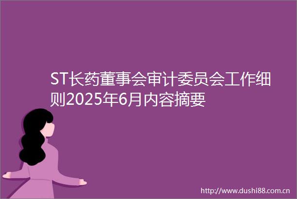 ST长药董事会审计委员会工作细则2025年6月内容摘要