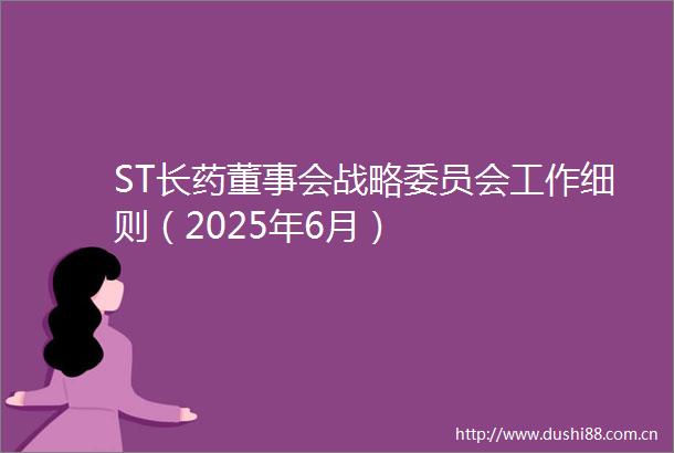 ST长药董事会战略委员会工作细则（2025年6月）