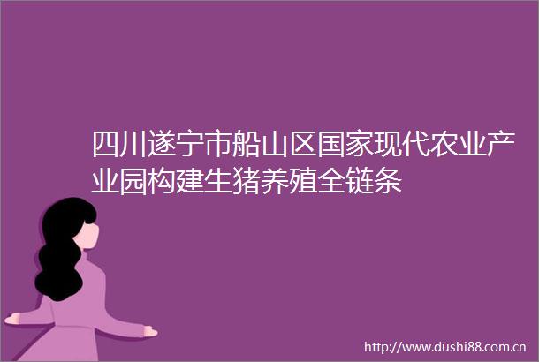 四川遂宁市船山区现代农业产业园构建生猪养殖全链条