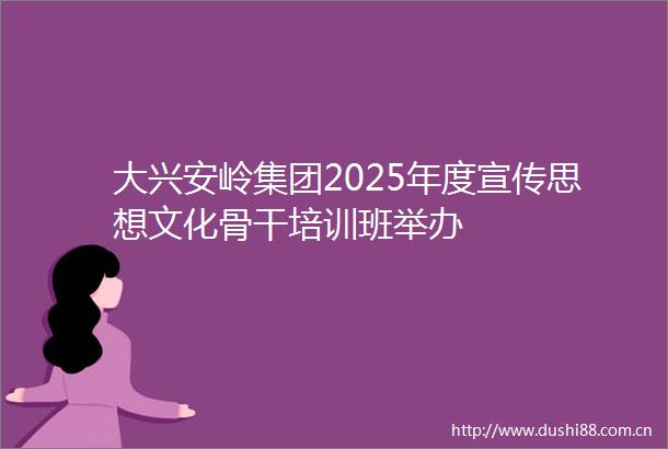大兴安岭集团2025年度宣传思想文化骨干培训班举办