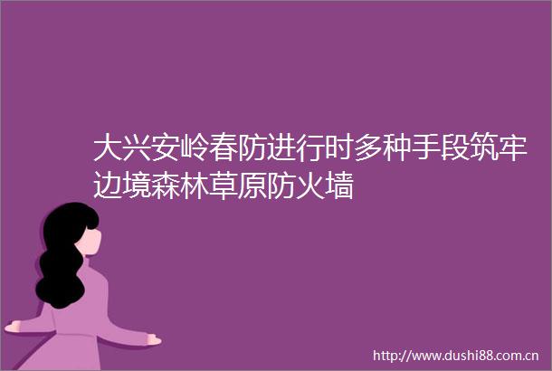 大兴安岭春防进行时多种手段筑牢边境森林草原防火墙