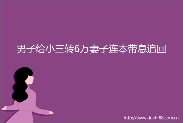 男子给转6万妻子连本带息追回