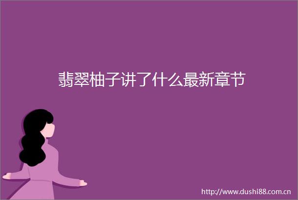 翡翠柚子讲了什么最新章节