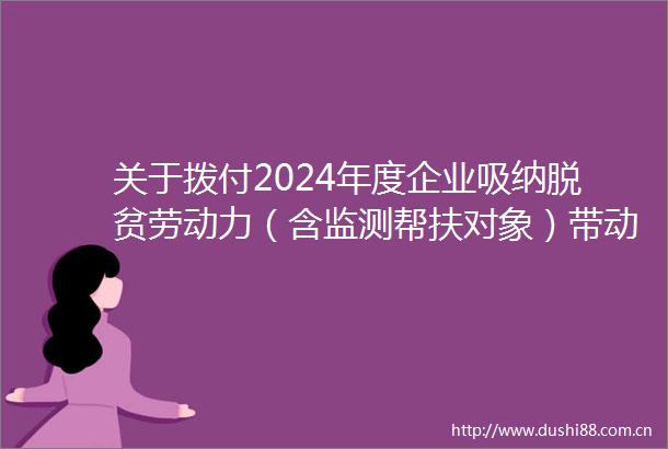 关于拨付2024年度企业吸纳脱贫劳动力（含监测帮扶对象）带动就业补贴的公示
