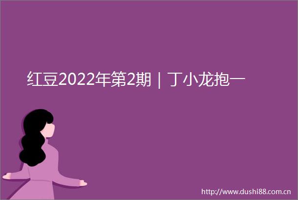 红豆2022年第2期｜丁小龙抱一