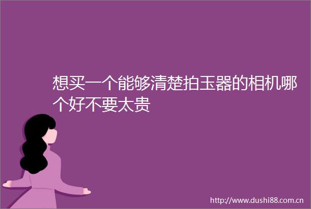 想买一个能够清楚拍玉器的相机哪个好不要太贵