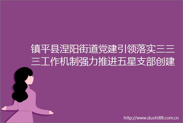 镇平县涅阳街道党建引领落实三三三工作机制强力推进五星支部创建工作