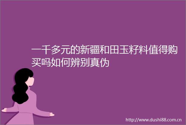 一千多元的新疆和田玉籽料值得购买吗如何辨别真伪