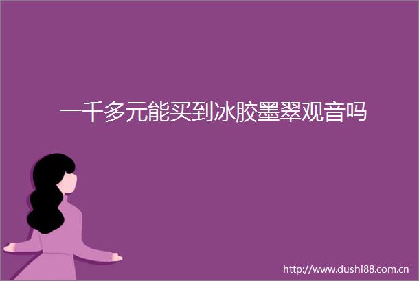 一千多元能买到冰胶墨翠观音吗