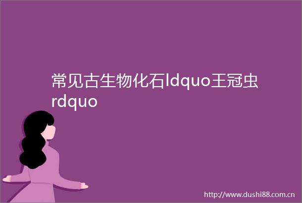 常见古生物化石ldquo王冠虫rdquo
