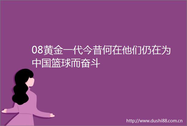 08黄金一代今昔何在他们仍在为篮球而奋斗