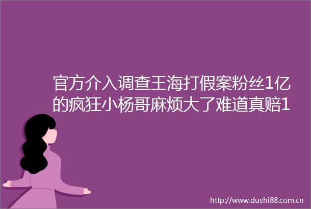 官方介入调查王海打假案粉丝1亿的疯狂小杨哥麻烦大了难道真赔1个亿
