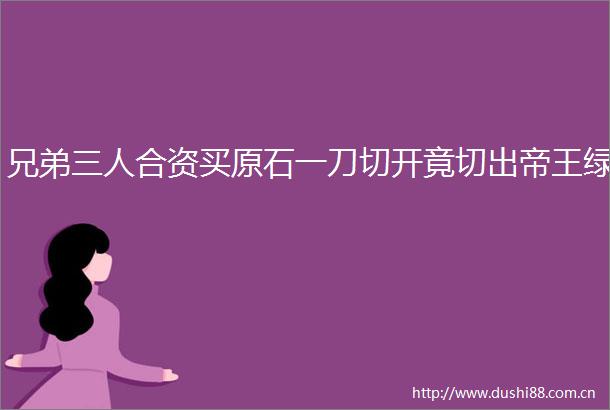 兄弟三人合资买原石一刀切开竟切出帝王绿