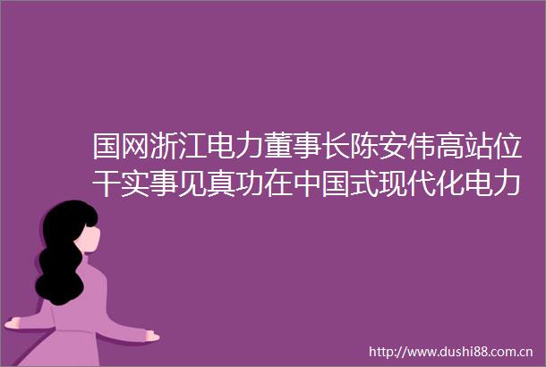 国网浙江电力董事长陈安伟高站位干实事见真功在式现代化电力发展中勇立潮头