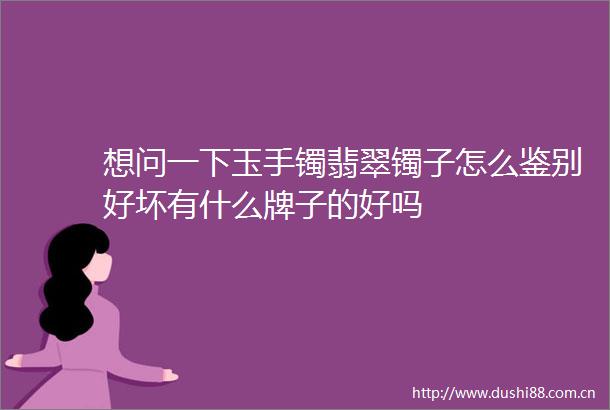 想问一下玉手镯翡翠镯子怎么鉴别好坏有什么牌子的好吗