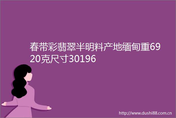春带彩翡翠半明料产地缅甸重6920克尺寸30196