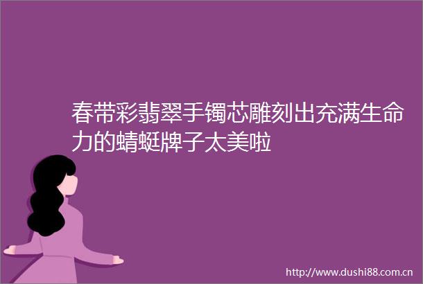 春带彩翡翠手镯芯雕刻出充满生命力的蜻蜓牌子太美啦