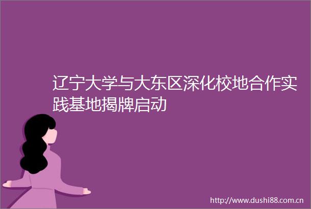 辽宁大学与大东区深化校地合作实践基地揭牌启动