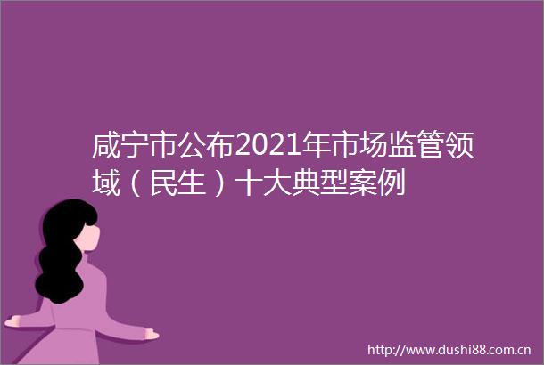 咸宁市公布2021年市场监管领域（民生）十大典型案例