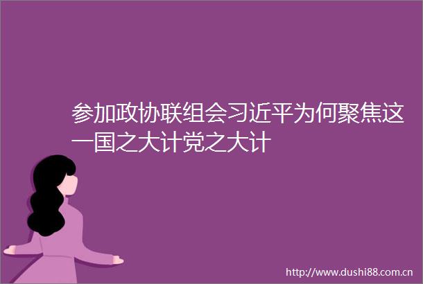参加政协联组会为何聚焦这一国之大计党之大计