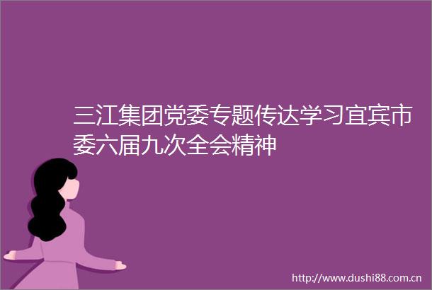 三江集团党委专题传达学习宜宾市委六届九次全会精神