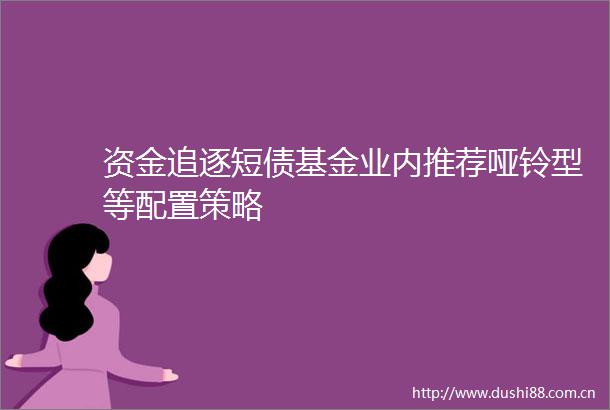 资金追逐短债基金业内推荐哑铃型等配置策略