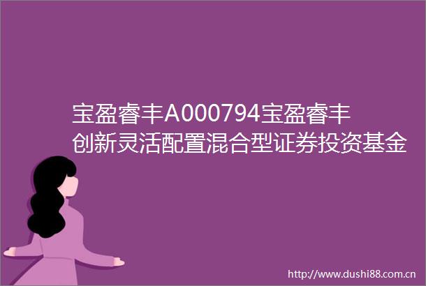 宝盈睿丰A000794宝盈睿丰创新灵活配置混合型证券投资基金宝盈睿丰创新混合AB份额基金产品资料概要更新