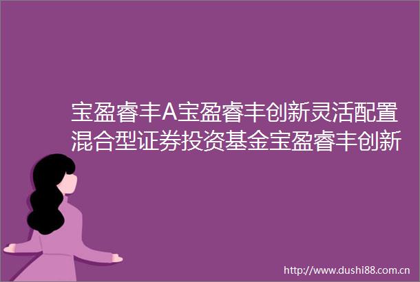 宝盈睿丰A宝盈睿丰创新灵活配置混合型证券投资基金宝盈睿丰创新混合AB份额基金产品资料概要更新