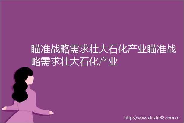 瞄准战略需求壮大石化产业瞄准战略需求壮大石化产业