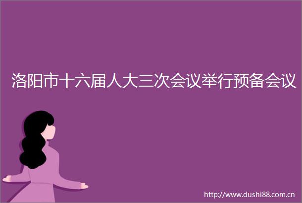 洛阳市十六届人大三次会议举行预备会议