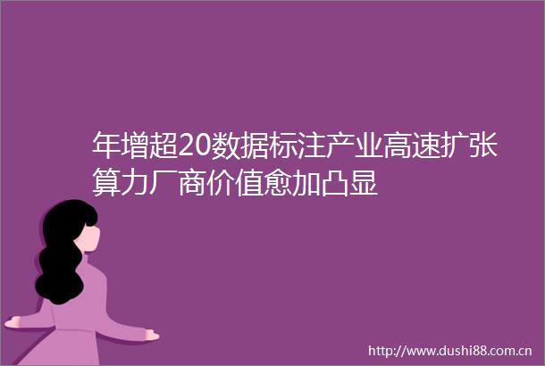 年增超20数据标注产业高速扩张算力厂商价值愈加凸显
