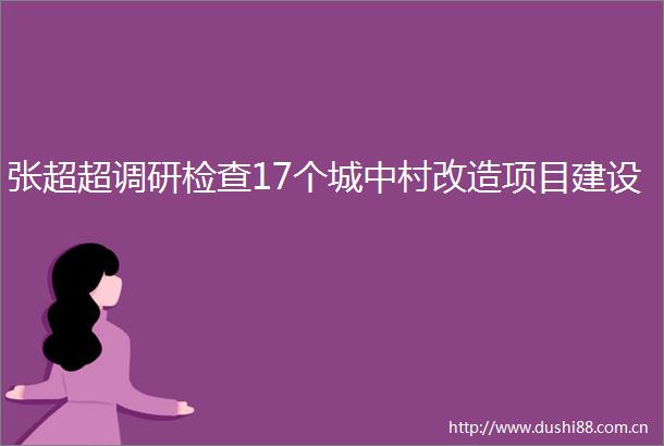 张超超调研检查17个城中村改造项目建设